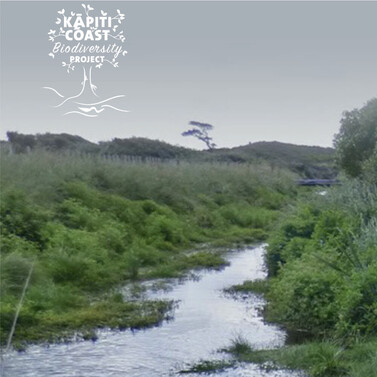 Kapiti Coast Biodiversity Project