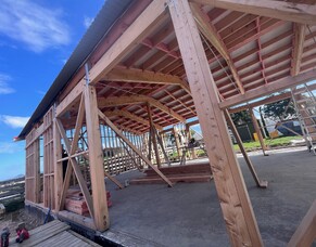 Summerhill Updates December 2024