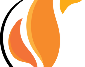 Business Profile: Woodburners &amp; Fireplace Experts Wellington