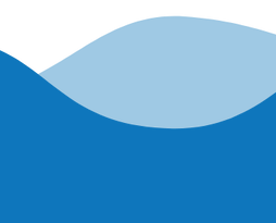 Reduced the need for virgin plastic.