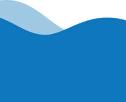 Stopped the equivalent amount of plastic entering the ocean as litter.