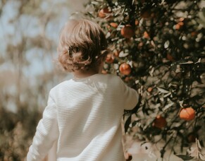 Life Insurance: Protecting Your Loved Ones