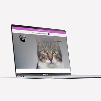 Website Design for Mamaku Cattery by Page Design Ltd