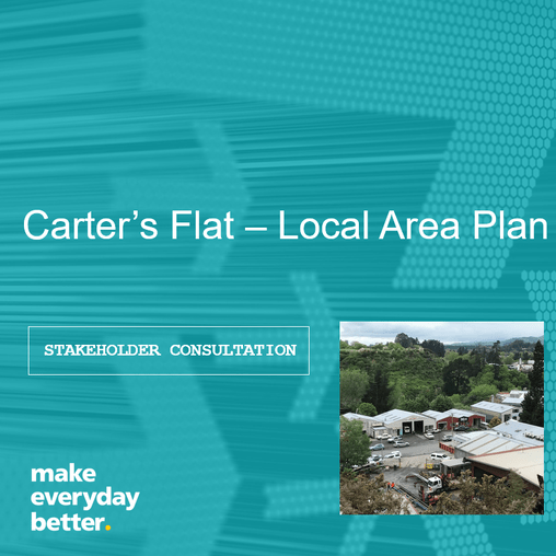 A plan change will review the zoning of two commercial areas in Cambridge