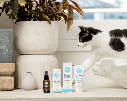 The Little Acre assisting in creating a beautiful and functional Rockestpark website.