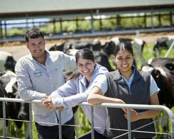 Craig Brown Photographer's image of three staff in a paddock with cows