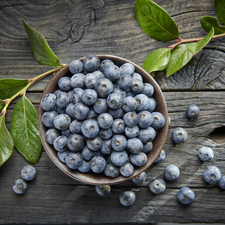 Craig Brown Photographer's studio shot of a blueberries in a bowl