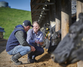 Craig Brown Photographer's image of two people talking near cows