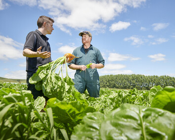 Craig Brown Photographer's image of two men in a field of vegetables