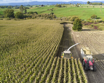 Craig Brown Photographer's image of a harvesting machine in a field