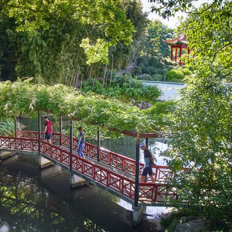 Craig Brown Photographer's image of people at the Hamilton Gardens