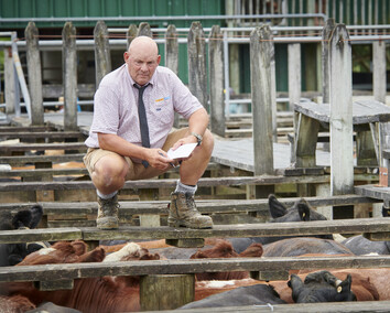 Craig Brown Photographer's image of a man at stock sale yards