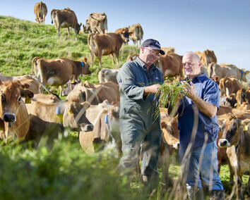 Craig Brown Photographer's image of two men looking at grass in a paddock with cows in background