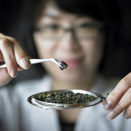 Craig Brown Photographer's image of lady examining tea