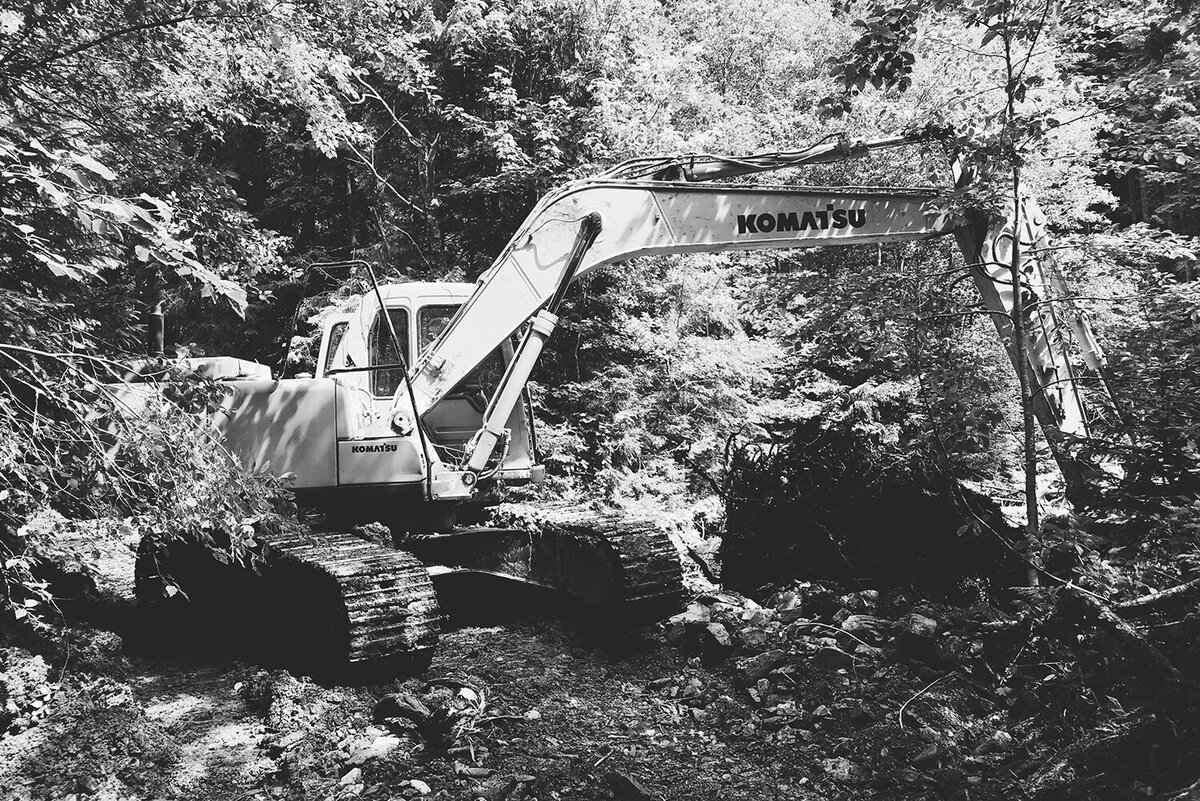 Insurer Overview TLC Insurance