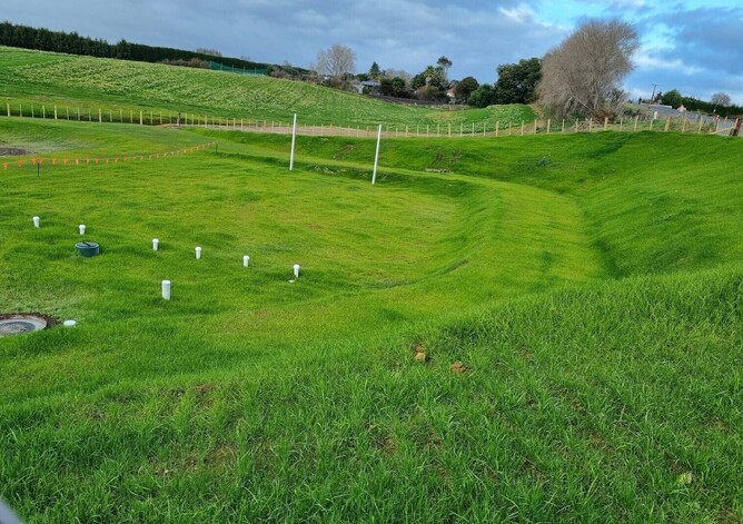 Paengaroa Site Restoration