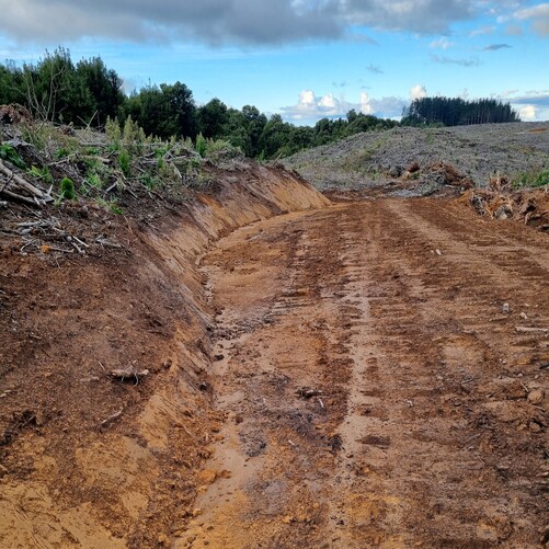 Tect Park Berm Hydroseeding Using Wood Mulch