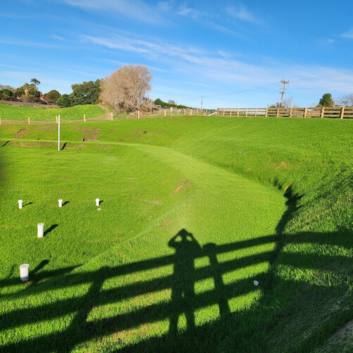 Paengaroa Site Restoration post hydroseeding