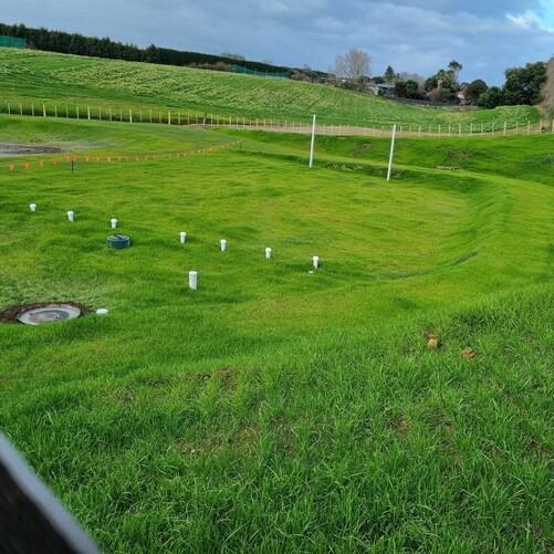 Paengaroa Site Restoration post hydroseeding