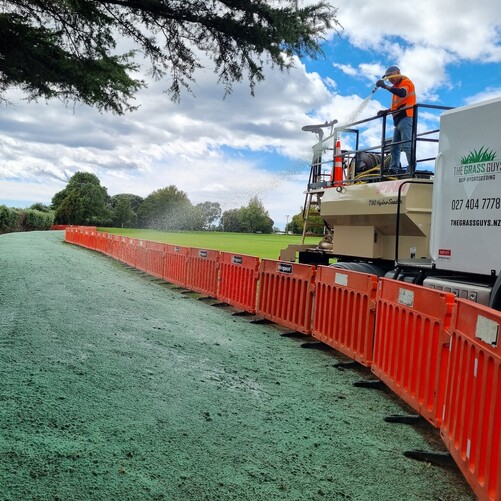Commercial Hydroseeding at Tauranga Domain Park by The Grass Guys