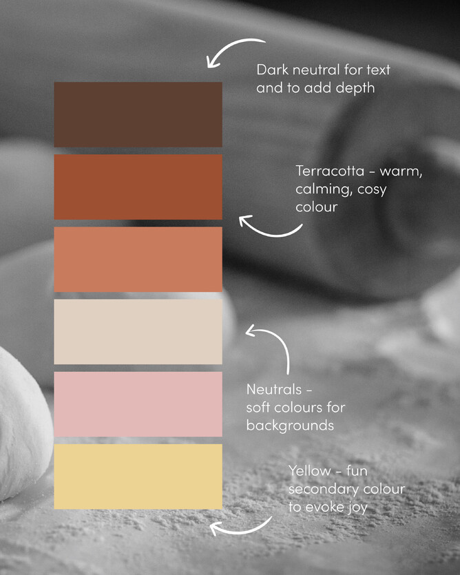 Image of colour palette showing how to create a brand colour palette. Blog written by Creative Box. Graphic Designer. Te Awamutu, New Zealand.