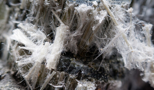 Residential house being removed by Waikato Demolition in Hamilton 