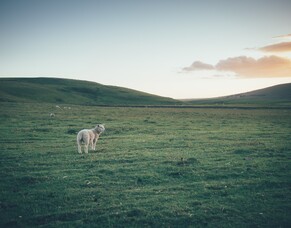 Updates to PureFarming login