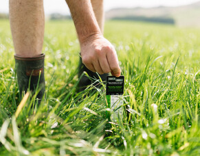 The most handy tool on the farm? A FARMAX-FarmIQ sward stick