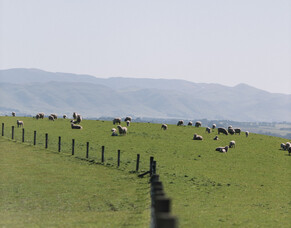 Profound results for Action Group focused on benchmarking and lifting performance