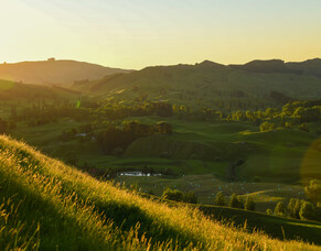 Getting started with PastureVibe