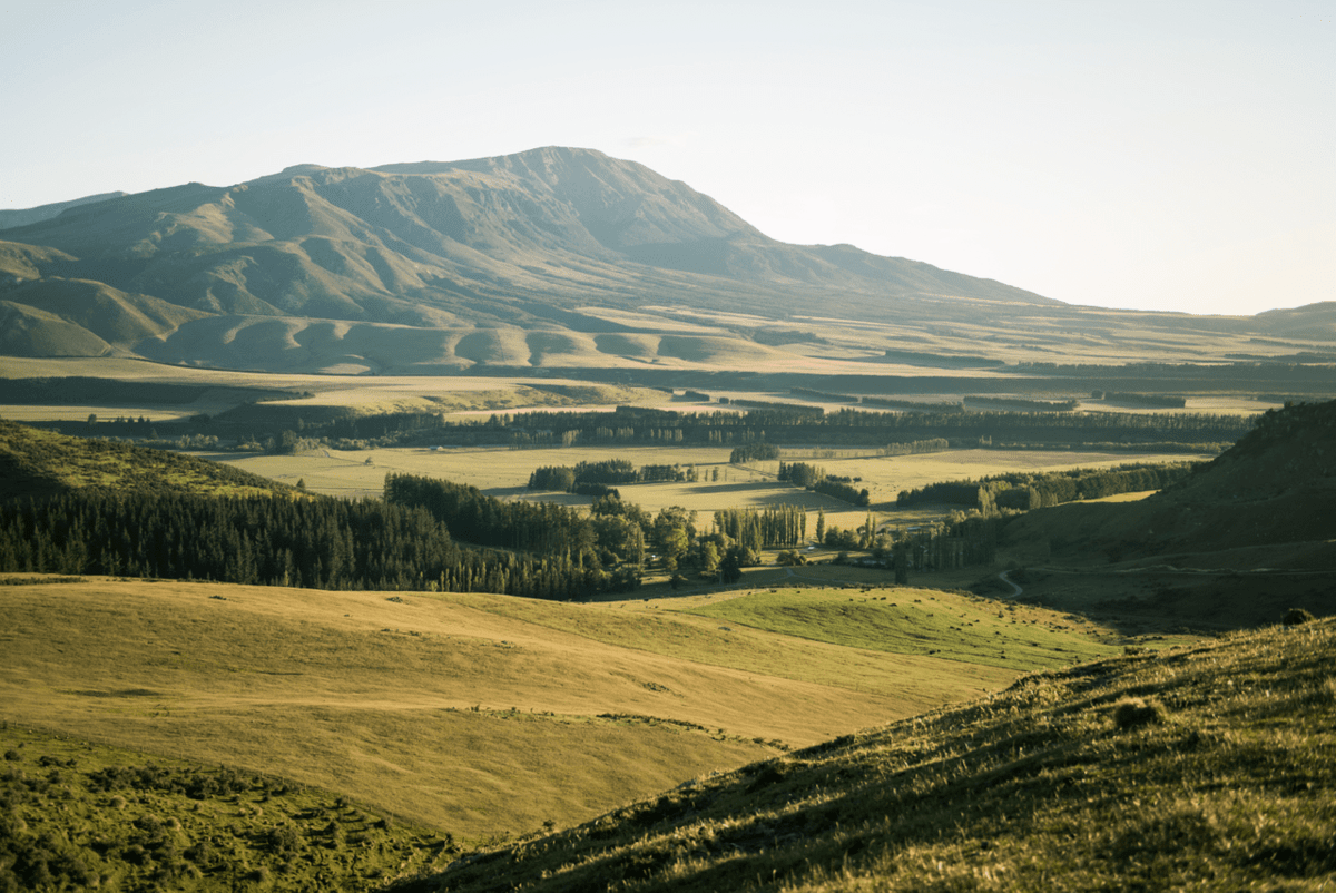 Add Forestry Blocks FARMAX