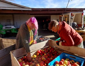 Hunger and Poverty (SDGs 1,2)