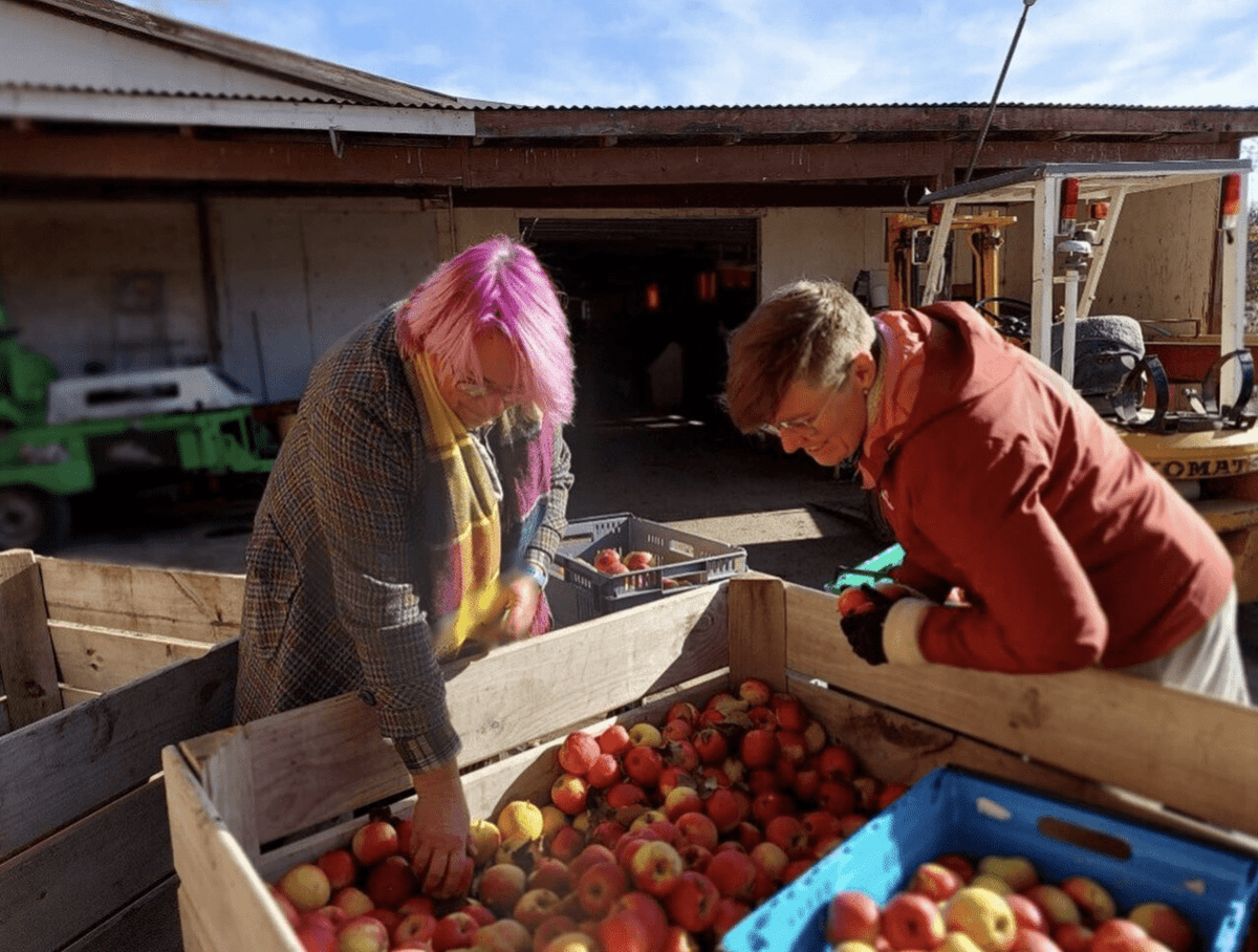 Poutoko: Impact Project Update - Waikato Kai Challenge | Waikato ...