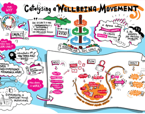 Waikato Wellbeing Project-July 2021 Update