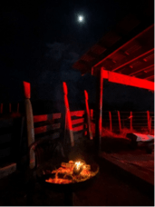 Hau Kāinga: Lots of Little Fires | He pakipūmeka