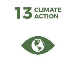 Waikato Wellbeing Project Sustainable Development Goal 13