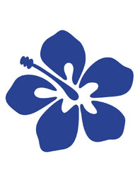 NZ Treasury: Pacific Wellbeing Perspectives