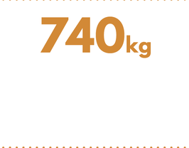 740kg per capita  waste per annum in 2018