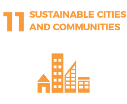 Waikato Wellbeing Project Sustainable Development Goal 11