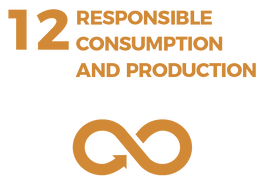 Waikato Wellbeing Project Sustainable Development Goal 12