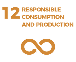 Waikato Wellbeing Project Sustainable Development Goal 12