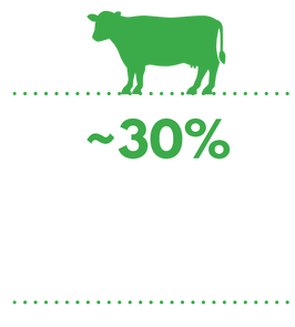30% of New Zealand’s land area is in formal protection (global goal is 30% by 2030)