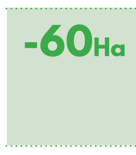 60ha of net annual loss of terrestrial indigenous vegetation between 2012 and 2018