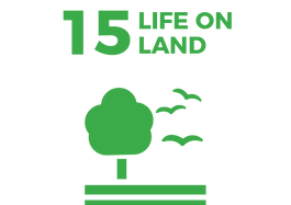 Waikato Wellbeing Project Sustainable Development Goal 15