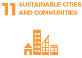 Waikato Wellbeing Project Sustainable Development Goal 11