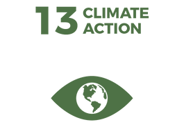 Waikato Wellbeing Project Sustainable Development Goal 13