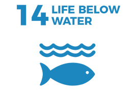 Waikato Wellbeing Project Sustainable Development Goal 14