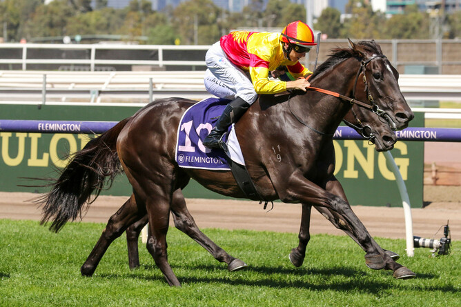 Eternal Flame scored a deserved first black-type victory in Saturday’s A$200,000 Gr.3 Matron Stakes (1600m) at Flemington.  - Photo: Bruno Cannatelli
