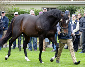 Sweynesse youngsters impress at Avondale trials