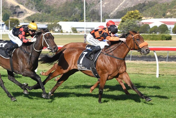 Bradman strides clear of Our Echo and Provence to score in the Listed Bramco Granite & Marble Flying Handicap (1400m) at Trentham on Saturday. - Photo: Race Images PN